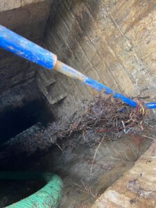 London Drainage Facilities Provides Tree Root Removal Services for Storm Group at Brentwood Council Property