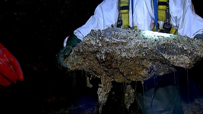 part of fatberg removed from a London sewer